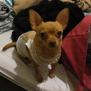 Meet your Posher, Stacy